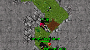 Lilip on screen