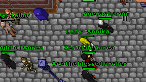 Lady-Annika on screen