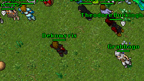 Dekoms ris on screen