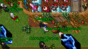 Chanken on screen