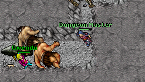 Dungeon Master on screen