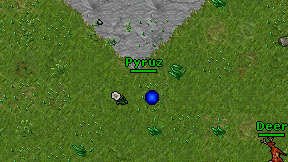 Pyruz on screen
