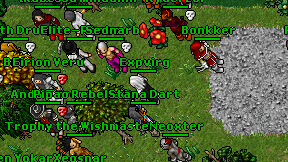 Expvirg on screen