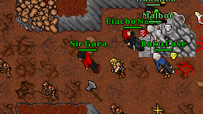 Sir Gara on screen