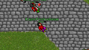 Kapo Pankadaum on screen