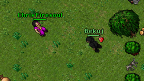 Bekuj on screen