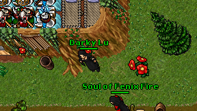 Darky Lu on screen