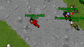 Magix oski on screen