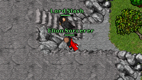 Elion Sorcerer on screen
