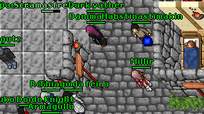 Habstinastimakin on screen