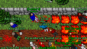 Lizim on screen