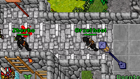 Orzel hool on screen