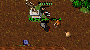 Metrakits druid on screen