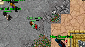 Guisella on screen