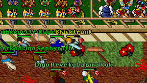 Blacktrunk on screen