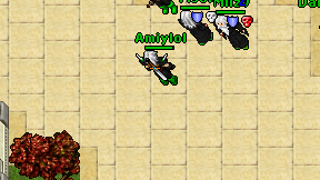 Amiylol on screen