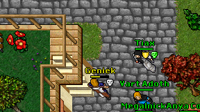 Geniek on screen