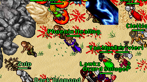 Phoenix Healing on screen