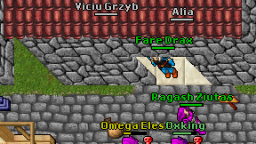 Viciu Grzyb on screen