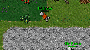 Fofaoe on screen