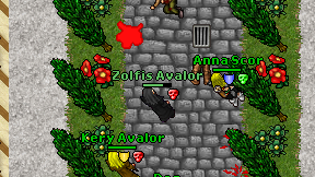 Zolfis Avalor on screen