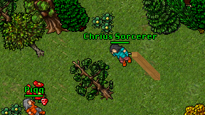 Chrius Sorcerer on screen