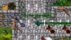 Woj Northernlight on screen