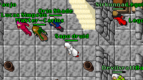 Sapo druid on screen