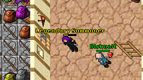 Legendary Summoner on screen