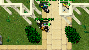 Maximuel on screen