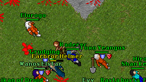Raderec on screen