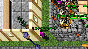 Luciofravia on screen