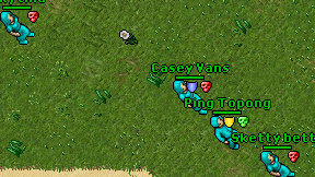Casey Vans on screen