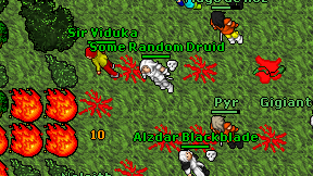 Some Random Druid on screen