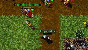 Eqvadis on screen