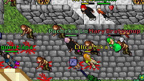 Pachekim Loko on screen