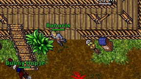 Baharis on screen