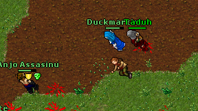 Duckmartins on screen