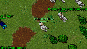 Croow Oez on screen