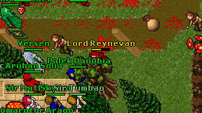 Lord Reynevan on screen
