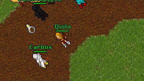 Quila on screen