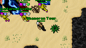 Shanoran Tour on screen