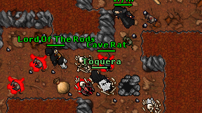 Toquera on screen