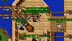 Nandydocinho on screen
