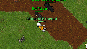 Miodzio Eternal on screen