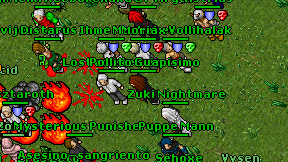 Pollito Guapisimo on screen