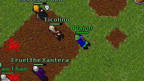 Plapol on screen