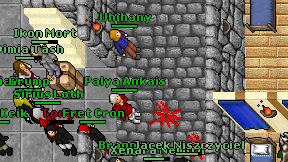 Palya Ankais on screen