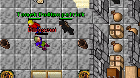 Dibuxewi on screen