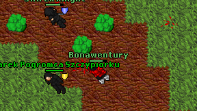 Bonawentury on screen